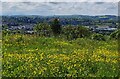 Bromyard viewed from the Bromyard Downs