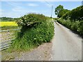 Country road to Haughton