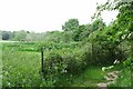 Dried up pond by Footpath 102_18