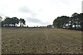 Faint footpath across field