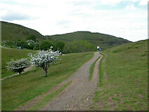 SO7639 : Path on Hangman's Hill, Malvern Hills by Chris Allen