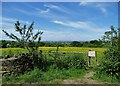 View to Manchester from Littlemoor Road