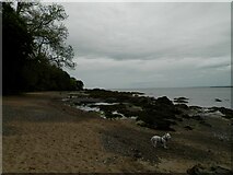 NH7358 : Rocky shore at Rosemarkie by Douglas Nelson