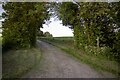 Bridleway near Bower Farm