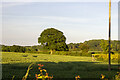 Fields near Mount Cottage