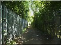 Path round the back of Knowleswood Primary School 