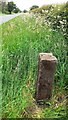 Replacement stone for listed milestone on eastern verge of A7 north of Blackford