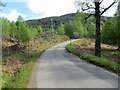 NH3132 : Minor road descending into Glen Cannich by Peter Wood