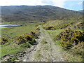 NH2532 : Glen Cannich - Track giving access to the fording of the River Cannich by Peter Wood