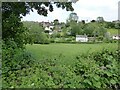 Houses in Broseley