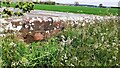 View of fields over NW parapet of Gaitle High Bridge