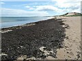 Beach on Fraserburgh Bay