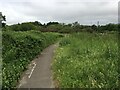 Path behind Greatfield Road