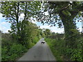 Minor road near Criccieth