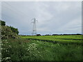 Barley field and pylon, Preston Vale