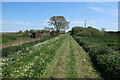 Bank of the River Wissey