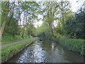 Llangollen Canal at Rhoswiel