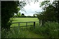 Field beside Fenton Lane