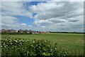 Houses in Sherburn in Elmet