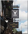TA1028 : The sign of The White Hart by David Lally