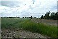 Farmland near Monk Fryston