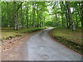 NH5240 : Woodland enclosed minor road near to Belladrum by Peter Wood