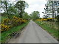 NH5341 : Minor gorse lined road near to Wester Clunes by Peter Wood