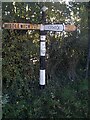 Direction Sign ? Signpost on Coalpit Lane near Stanthorne