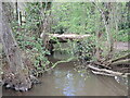 A footbridge near Paradise