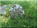 Grave in Snave Churchyard