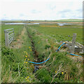 Ditch draining to Loch of Banks