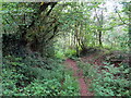 Llwybr y Llety / Llety path