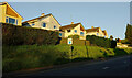 Houses above Shiphay Lane