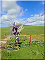 HY2825 : Fence, gate, scarecrow by Mick Garratt