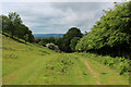 Bridleway on Little Quantock Combe