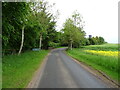 Minor road approaching Nether Finlarg