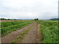 Track towards Muirside