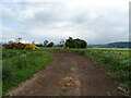 Bend in the track towards Muirside