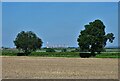 View over farmland to Cottam Power Station