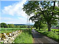 Track near Washingdales