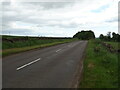 B9134 towards Brechin