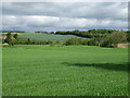 NO5658 : Crop field near Broomknowe by JThomas