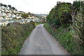 Narrow Devon lane