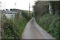 Narrow Devon lane