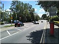 New traffic lights on the A81