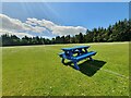 Picnic Bench