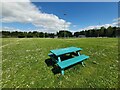 Picnic Bench