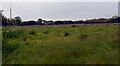 A field by the B3294 near Coverack