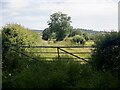 SJ4755 : Field access track, Holywell by Richard Webb