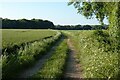 SU3349 : Farmland, Penton Mewsey by Andrew Smith